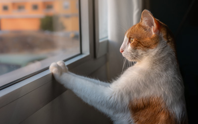 pvc κουφωματα τιμεσ